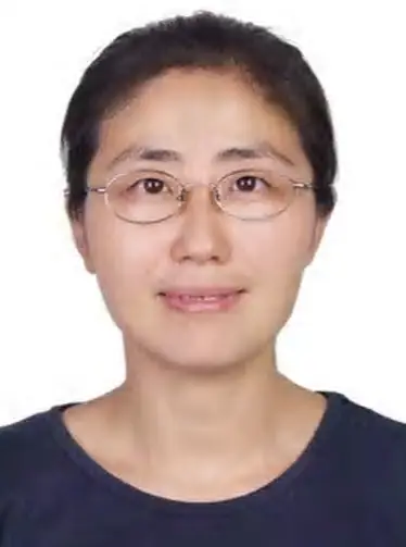 Prof. Jing Wang