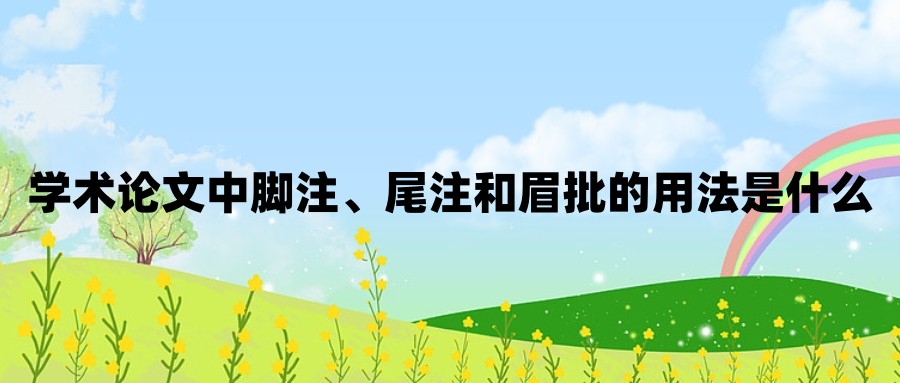 学术论文中脚注、尾注和眉批的用法是什么