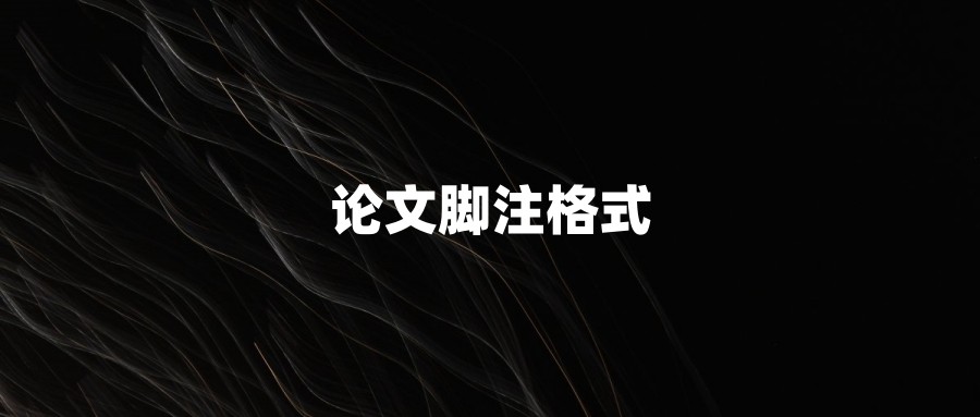论文脚注格式